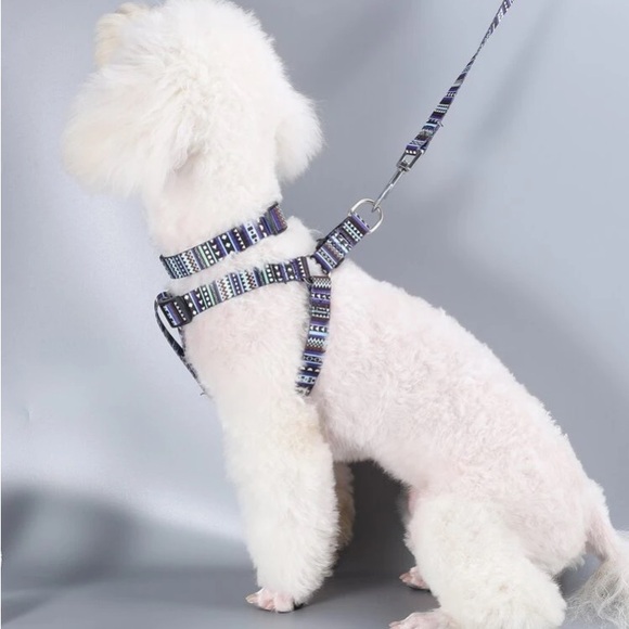 NEW Blue Pattern Dog Collar…size Small !!! - Picture 2 of 4